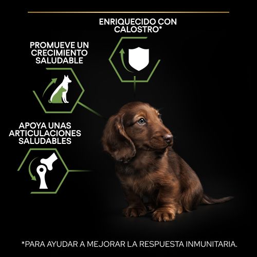 PURINA® PRO PLAN®Puppy Small & Mini HEALTHY START Pollo