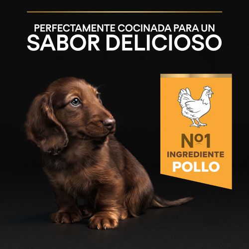 PURINA® PRO PLAN®Puppy Small & Mini HEALTHY START Pollo