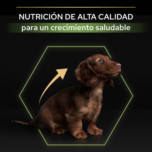 PURINA® PRO PLAN®Puppy Small & Mini HEALTHY START Pollo