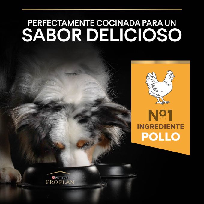 PURINA® PRO PLAN®  Medium Adult EVERYDAY NUTRITION Pollo