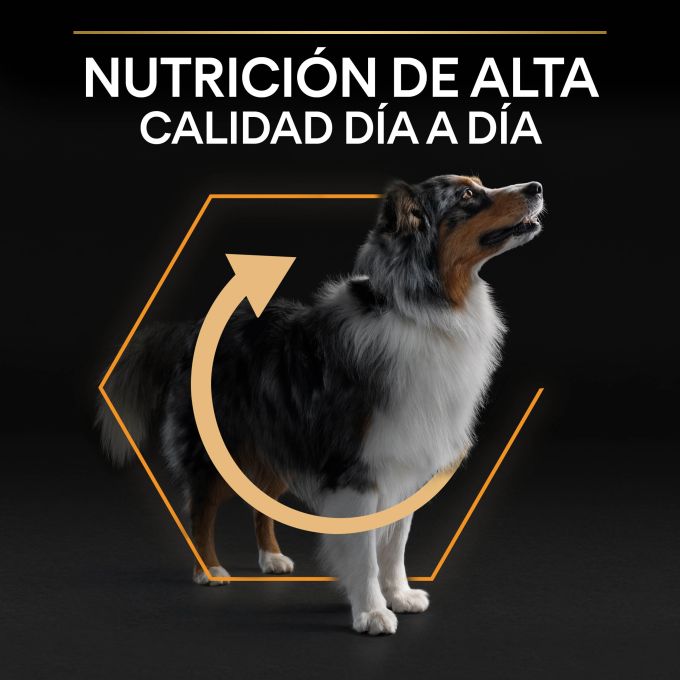 PURINA® PRO PLAN®  Medium Adult EVERYDAY NUTRITION Pollo