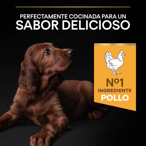 PURINA® PRO PLAN®Puppy Large Athletic HEALTHY START Pollo