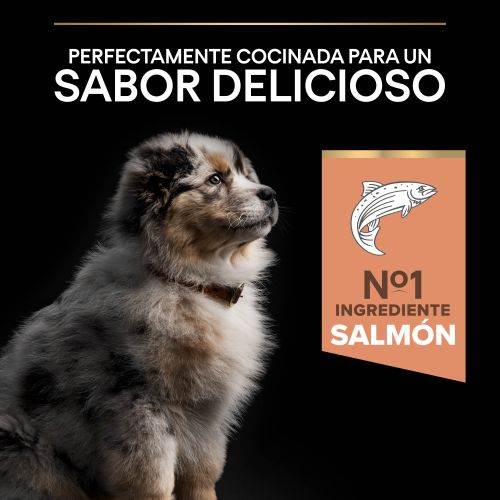 PURINA® PRO PLAN®Puppy Medium SENSITIVE SKIN Salmón