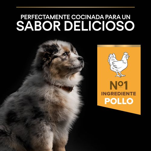 PURINA® PRO PLAN®Puppy Medium HEALTHY START Pollo