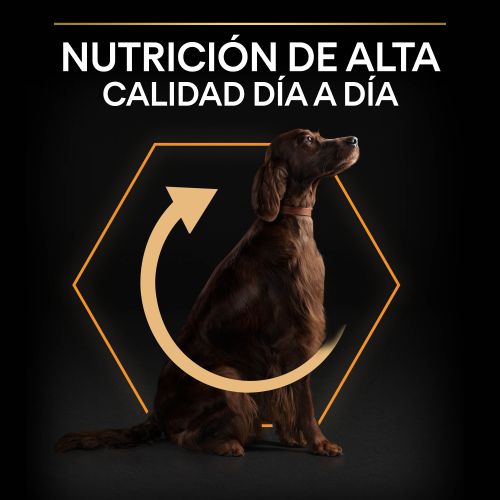 PURINA® PRO PLAN®Large Athletic EVERYDAY NUTRITION Adult Pollo