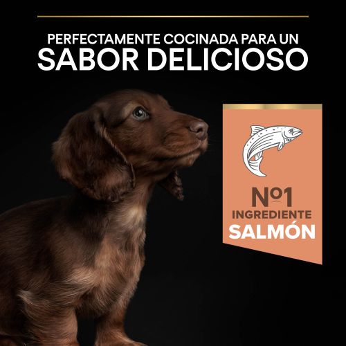 PURINA® PRO PLAN®Puppy Small & Mini SENSITIVE SKIN Salmón