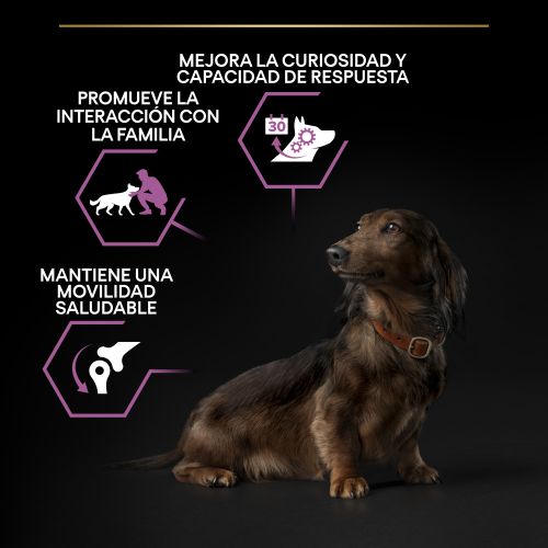 PURINA® PRO PLAN®Small & Mini Adult 9+ AGE DEFENCE Pollo