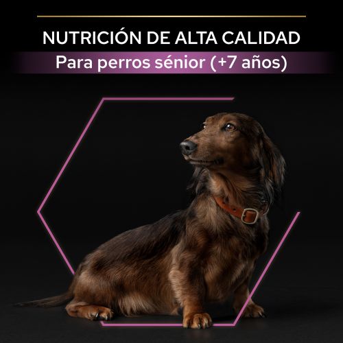 PURINA® PRO PLAN®Small & Mini Adult 9+ AGE DEFENCE Pollo