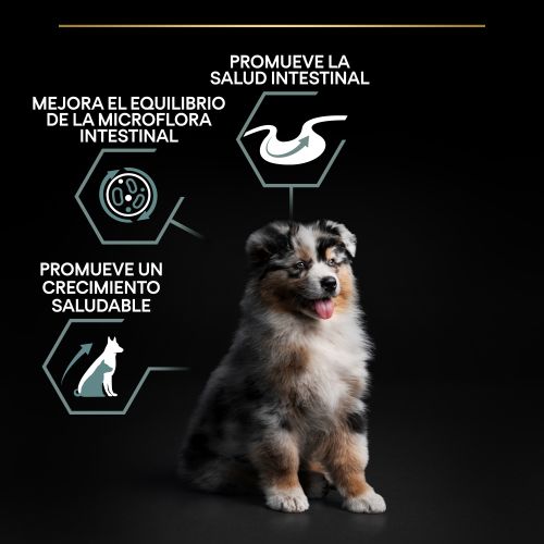 PURINA® PRO PLAN®Puppy Medium SENSITIVE DIGESTION Cordero