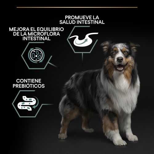 PURINA® PRO PLAN®Medium Adult SENSITIVE DIGESTION Cordero