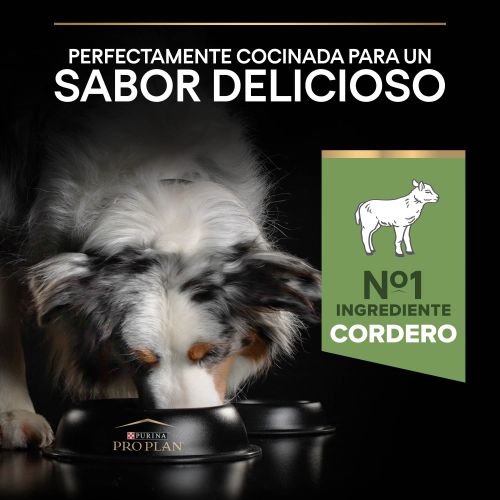 PURINA® PRO PLAN®Medium Adult SENSITIVE DIGESTION Cordero