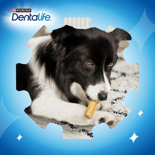 PURINA®  DENTALIFE®  Small