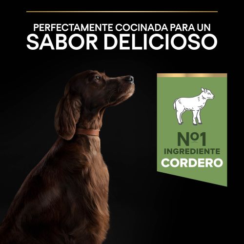 PURINA® PRO PLAN®Large Athletic SENSITIVE DIGESTION Cordero