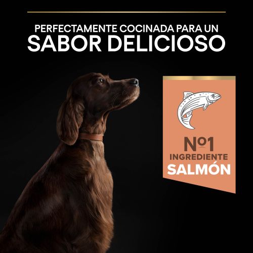 PURINA® PRO PLAN®Large Atheltic Adult SENSITIVE SKIN Salmón