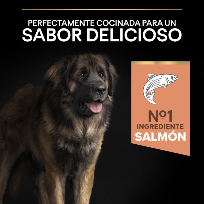 PURINA® PRO PLAN®Large Robust Adult SENSITIVE SKIN Salmón