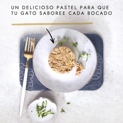 PURINA® GOURMET® Gold   Tartelette con Pollo y Zanahoria