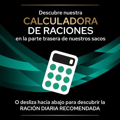 PURINA® PRO PLAN® VETERINARY DIETS  FELINE EN Gastrointestinal Sobres Salmón