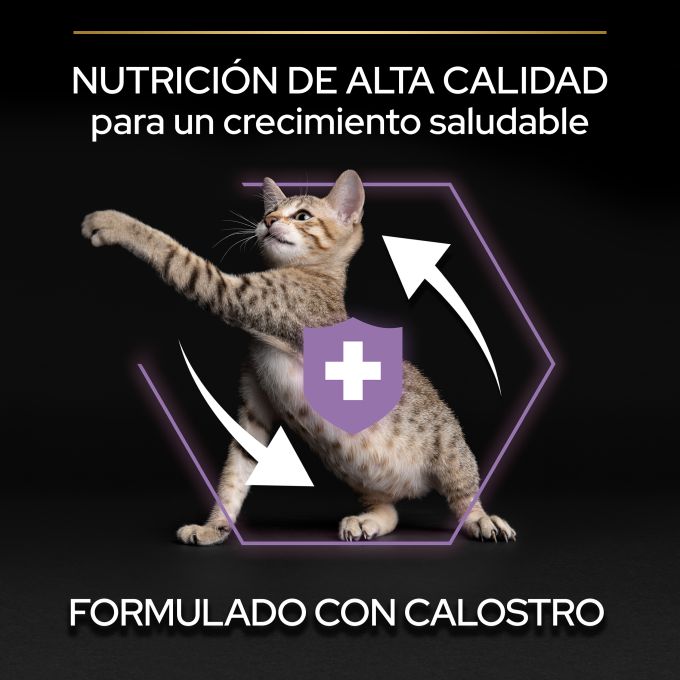 PURINA® PRO PLAN®  Kitten HEALTHY START Pollo