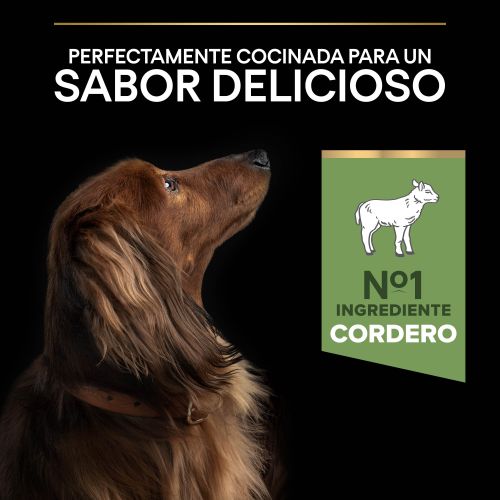 PURINA® PRO PLAN®Small & Mini Adult SENSITIVE DIGESTION Cordero