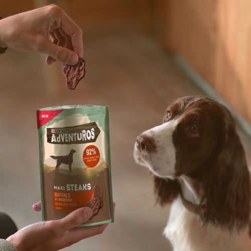 PURINA®  ADVENTUROS® Maxi Steaks Bufalo