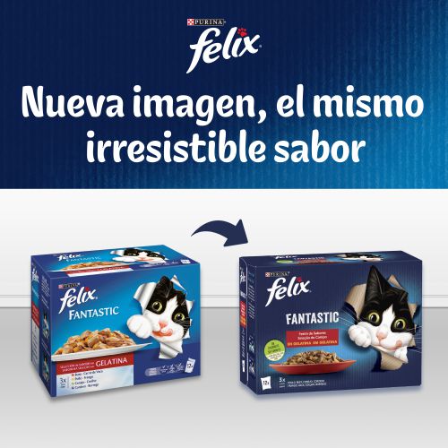 PURINA® FELIX® Fantastic Festín del Mar en Gelatina
