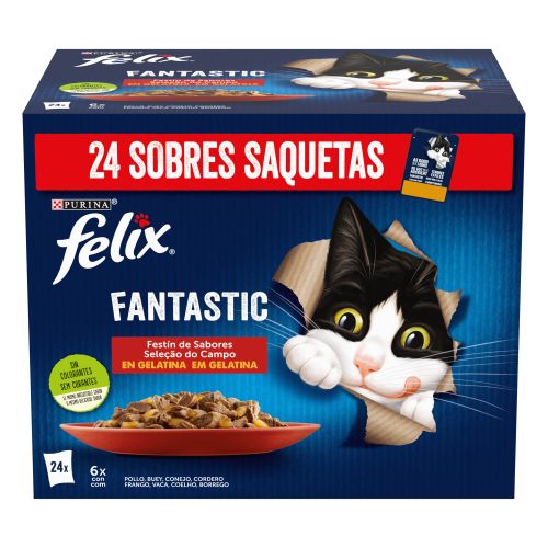 PURINA® FELIX® Fantastic