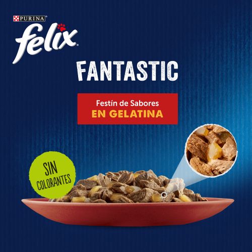 PURINA® FELIX® Fantastic