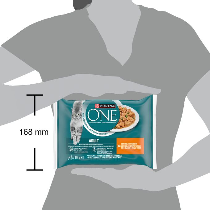 PURINA® ONE®  ADULT Mini filetes en Salsa con Pollo y Judías verdes, Buey y Zanahorias, sobre 85g