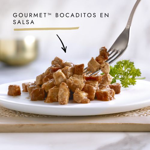 PURINA® GOURMET® Gold Bocaditos en Salsa con Salmón y Pollo