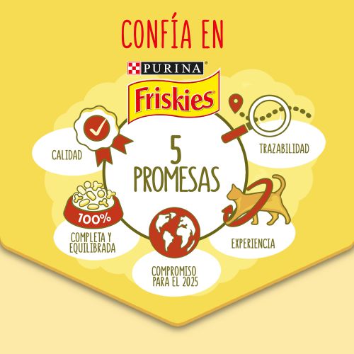 PURINA®  FRISKIES®  Junior Gato hasta 1 Año