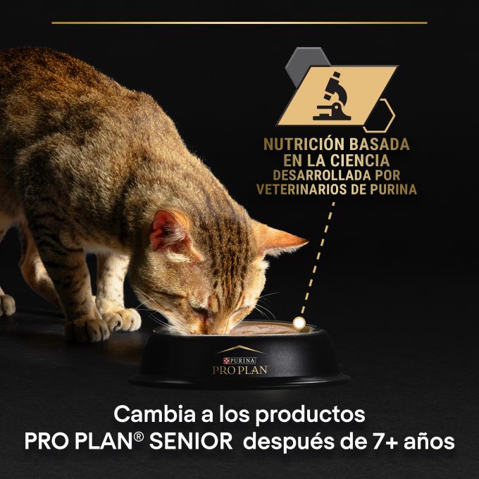 PURINA® PRO PLAN®  Gato Adulto DELICATE Mousse rico en pavo