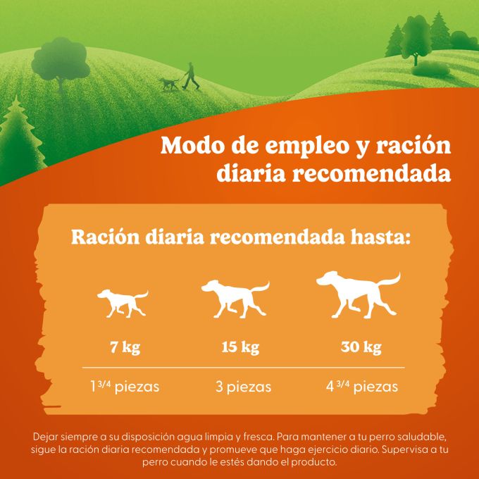 PURINA® FRISKIES® Picnic Picnic