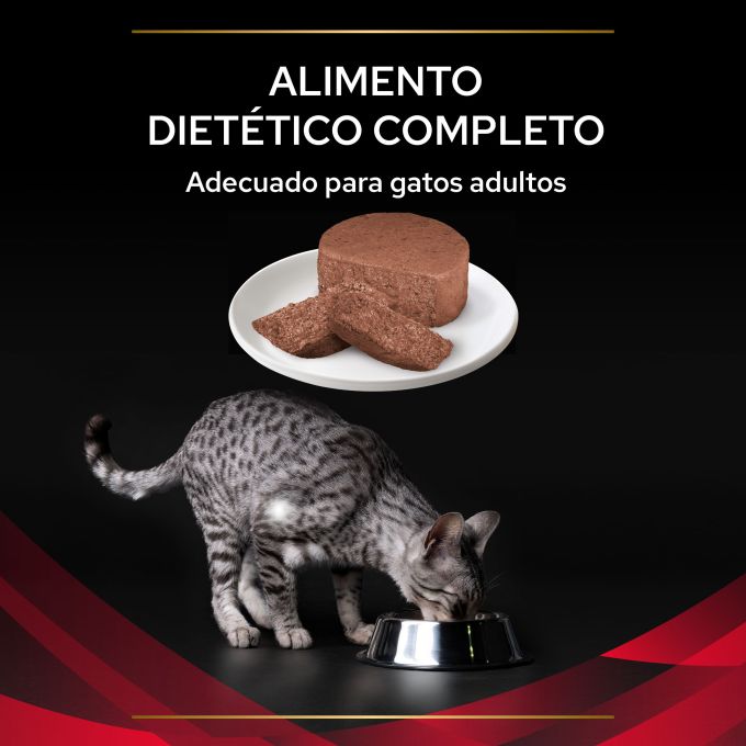 PURINA® PRO PLAN® VETERINARY DIETS  FELINE DM Diabetes Management Lata