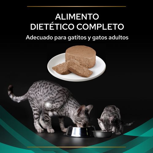 PURINA® PRO PLAN® VETERINARY DIETS  FELINE EN Gastrointestinal Lata