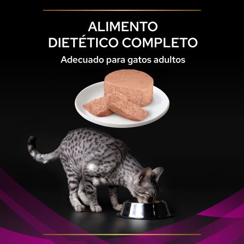 PURINA® PRO PLAN® VETERINARY DIETS  FELINE UR Urinary Lata