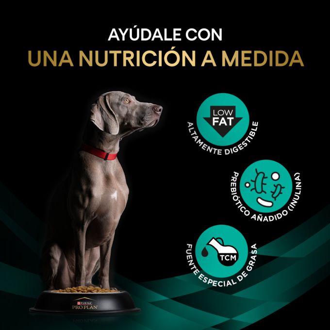 PURINA® PRO PLAN® VETERINARY DIETS  CANINE EN Gastrointestinal Low Fat