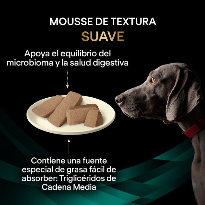 PURINA® PRO PLAN® VETERINARY DIETS  CANINE EN Gastrointestinal Lata