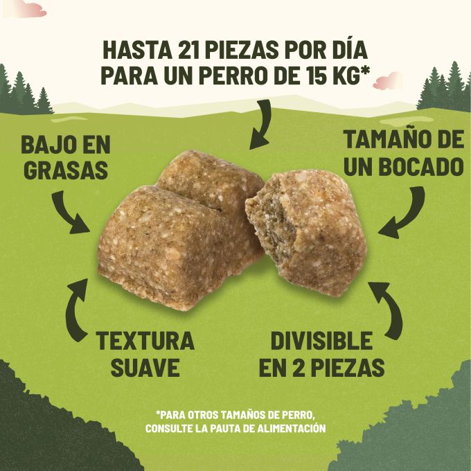 PURINA®  ADVENTUROS®  Maxipack Training Salmón