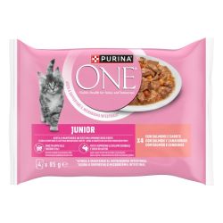 Ver PURINA® ONE® ADULT Mini filetes en Salsa con Pollo y Judías verdes, Buey y Zanahorias, sobre 85g
